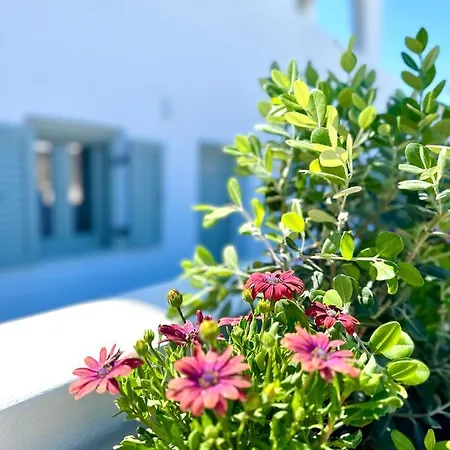 Santana Perivolos (Santorini)